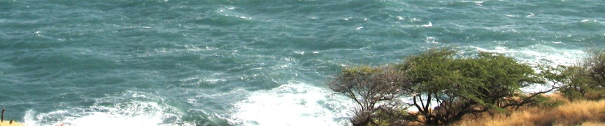 Random header image... Refresh for more!